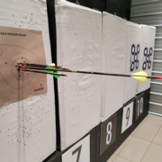 Archery8